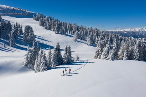 Skitourengeher in der Steiermark